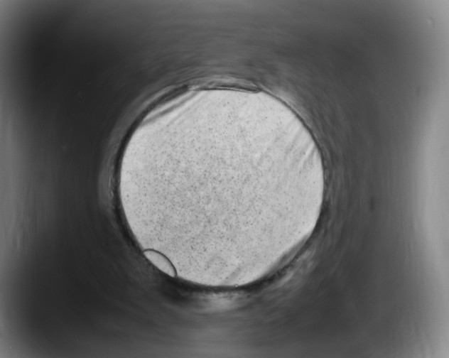 X0000087600103200705251930