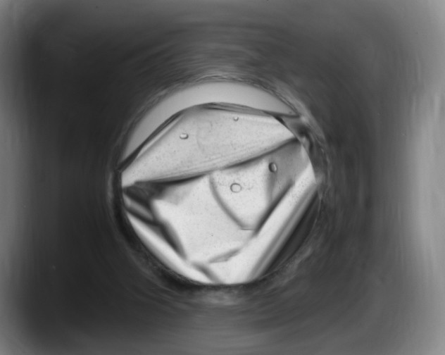 X0000087600106200705251930