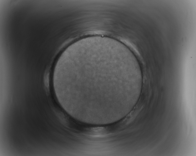 X0000087600108200705251930