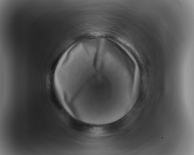 X0000087600114200705251930