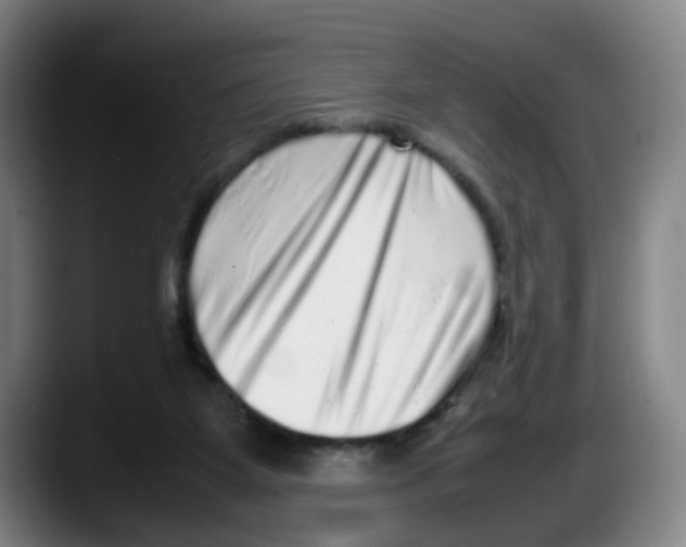 X0000087600115200705251930
