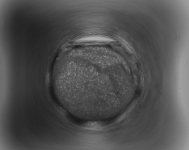 X0000087600117200705251930
