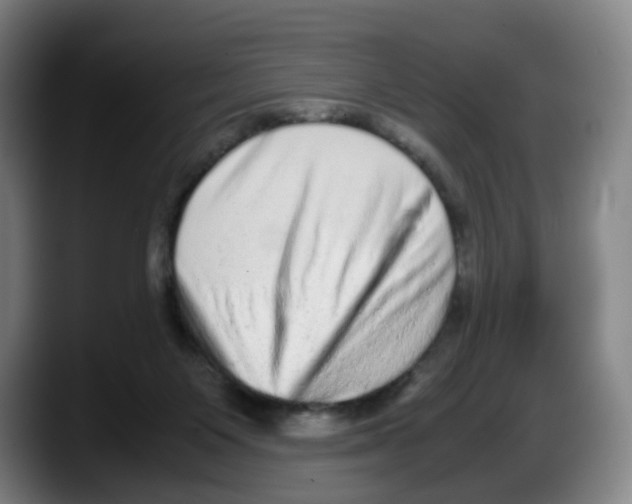X0000087600119200705251930