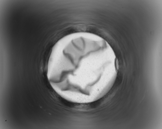 X0000087600125200705251930