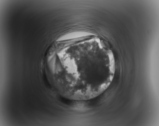 X0000087600127200705251930