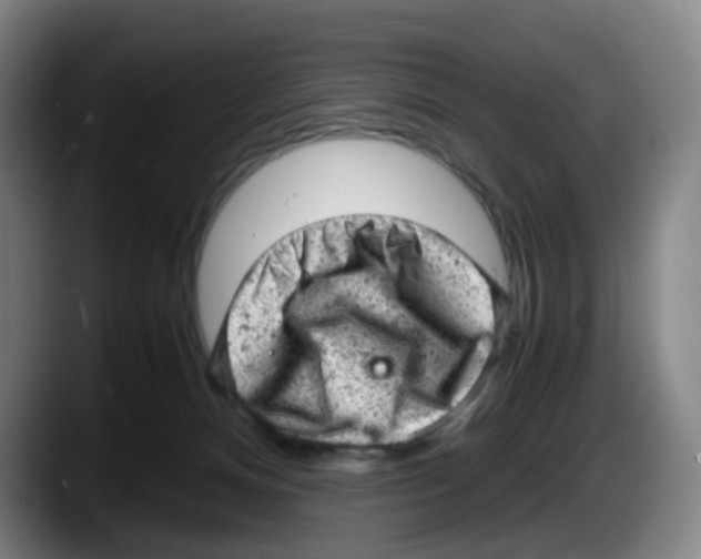 X0000087600128200705251930