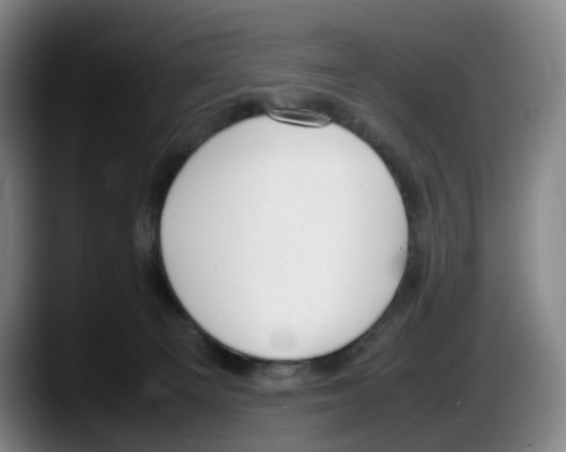 X0000087600129200705251930