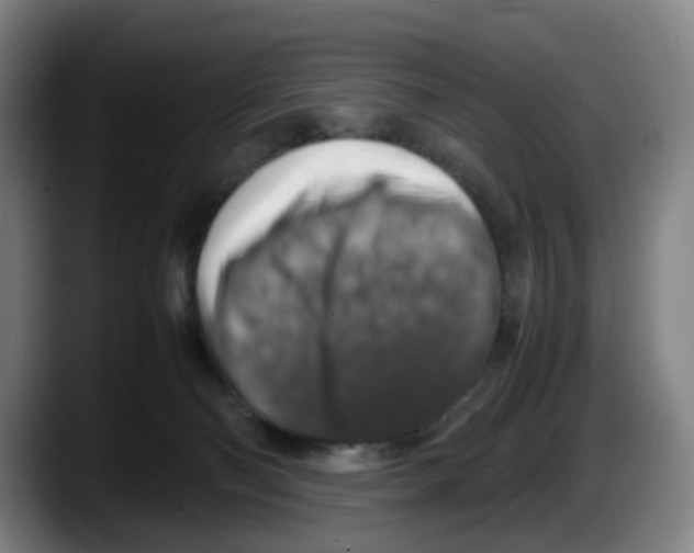 X0000087600130200705251930