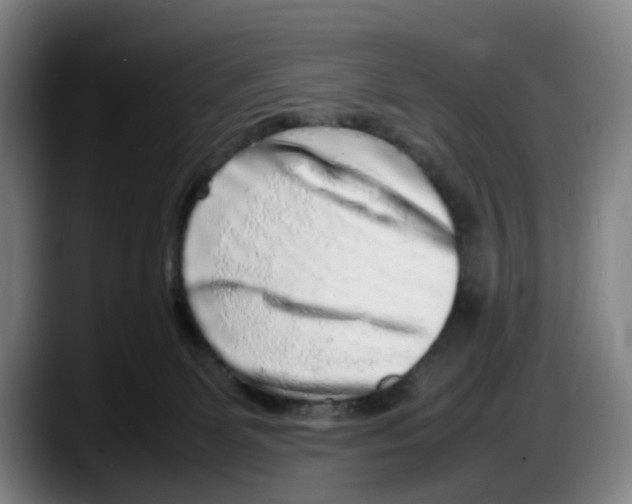 X0000087600131200705251930