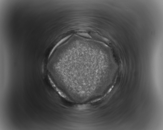 X0000087600134200705251930
