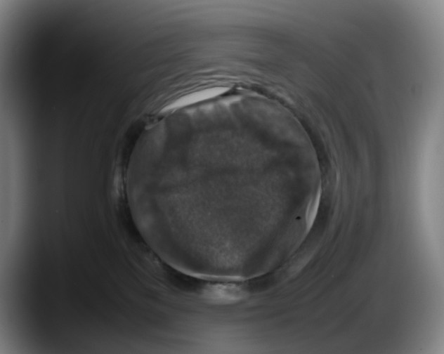 X0000087600137200705251930