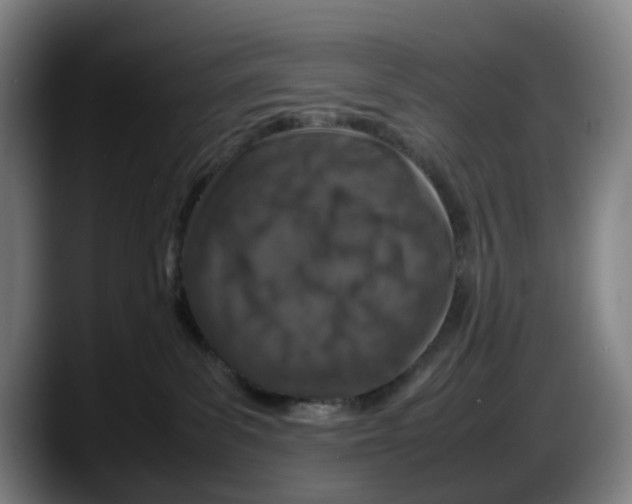 X0000087600139200705251930