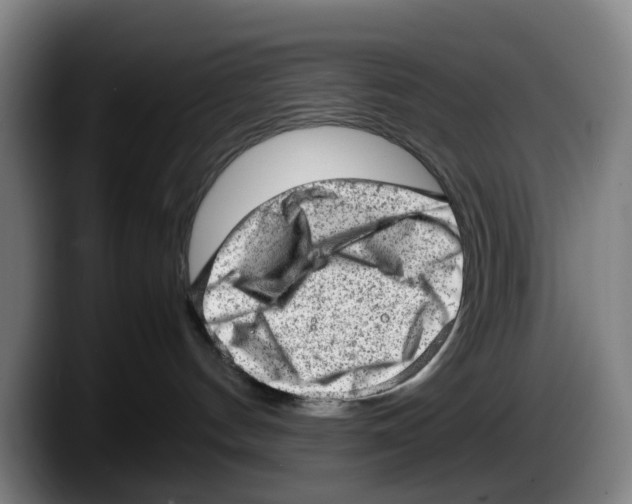 X0000087600144200705251929