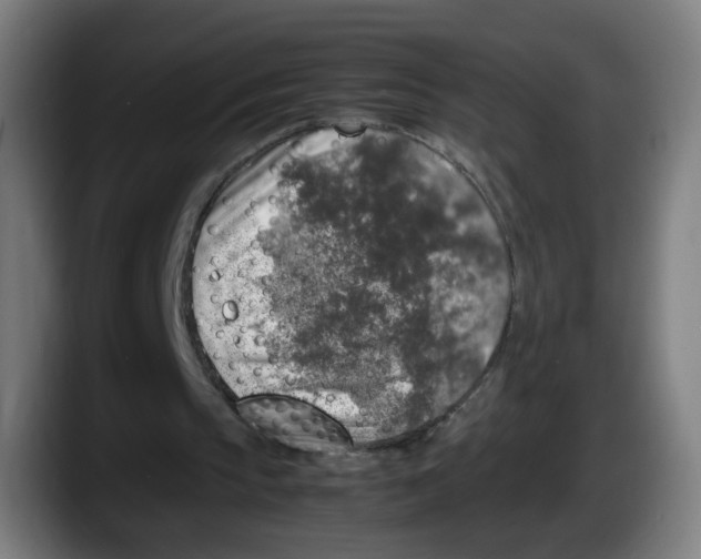 X0000087600145200705251929