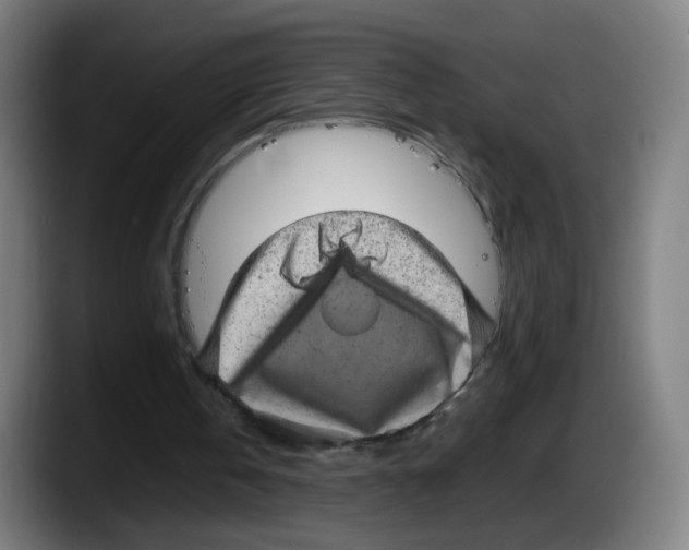 X0000087600146200705251929