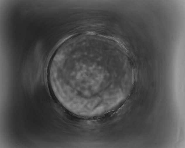 X0000087600147200705251929