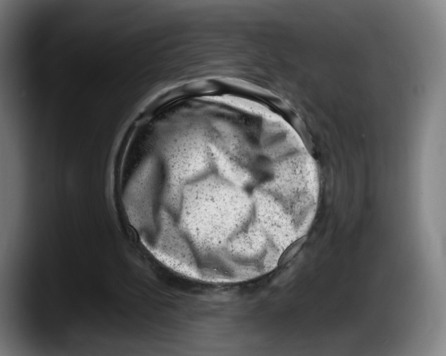 X0000087600148200705251929