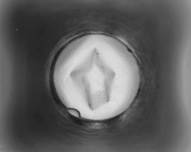 X0000087600151200705251929