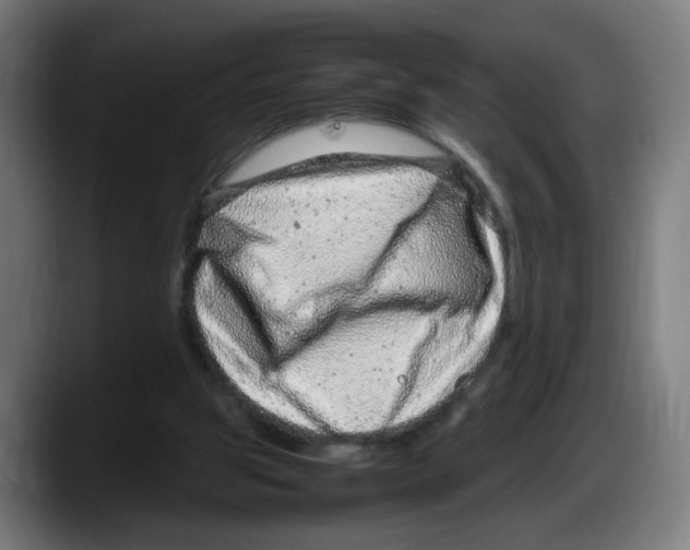 X0000087600153200705251929