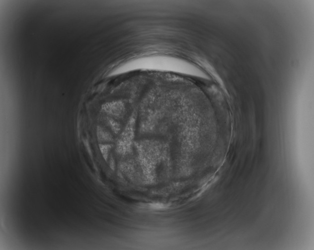 X0000087600154200705251929