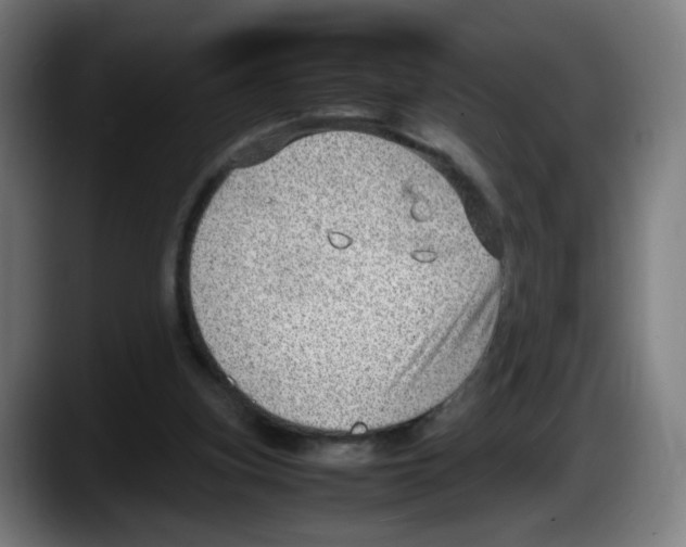 X0000087600155200705251929