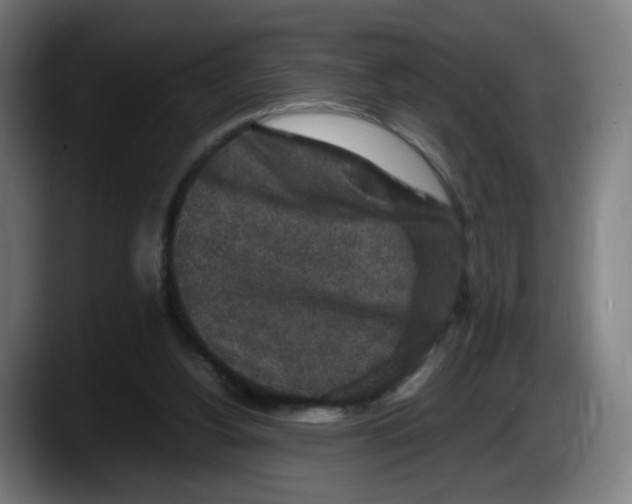 X0000087600156200705251929