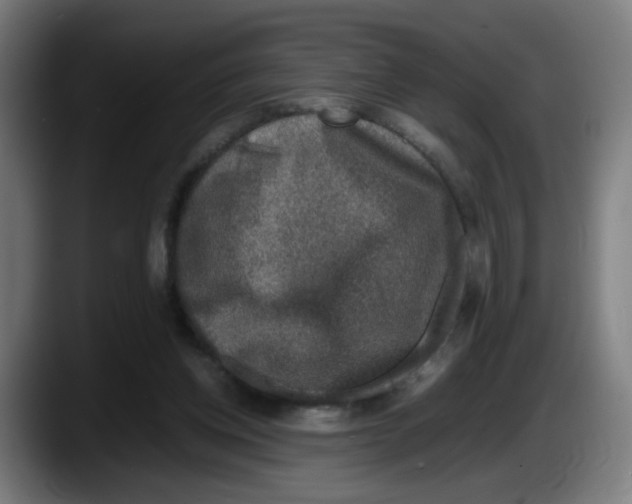 X0000087600158200705251929