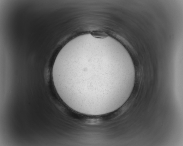 X0000087600160200705251929