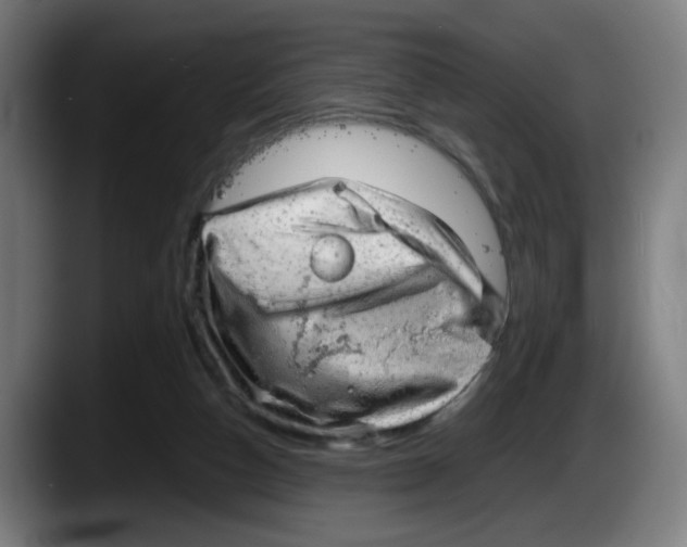 X0000087600162200705251929