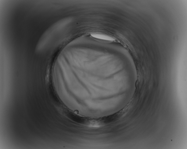 X0000087600163200705251929