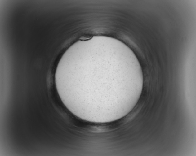X0000087600164200705251929