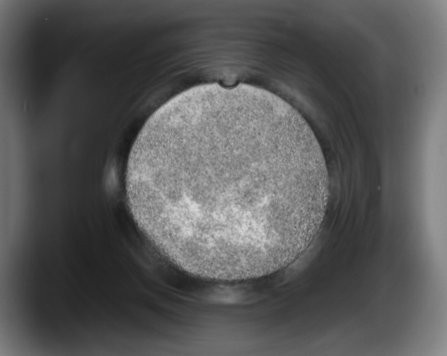 X0000087600166200705251929