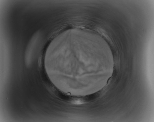 X0000087600167200705251929