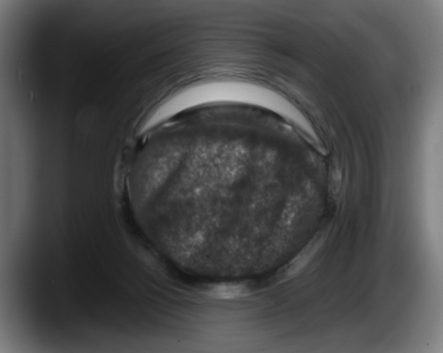 X0000087600168200705251929