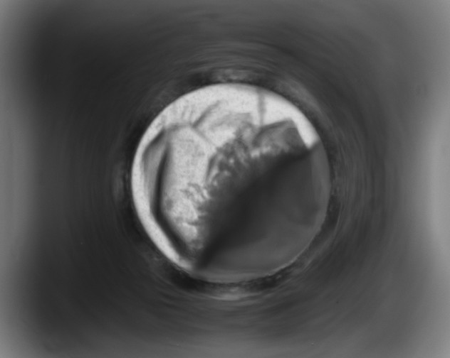 X0000087600169200705251929