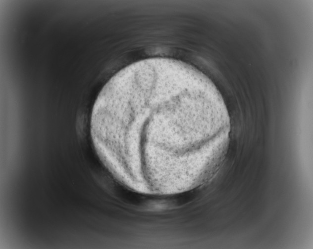 X0000087600171200705251929