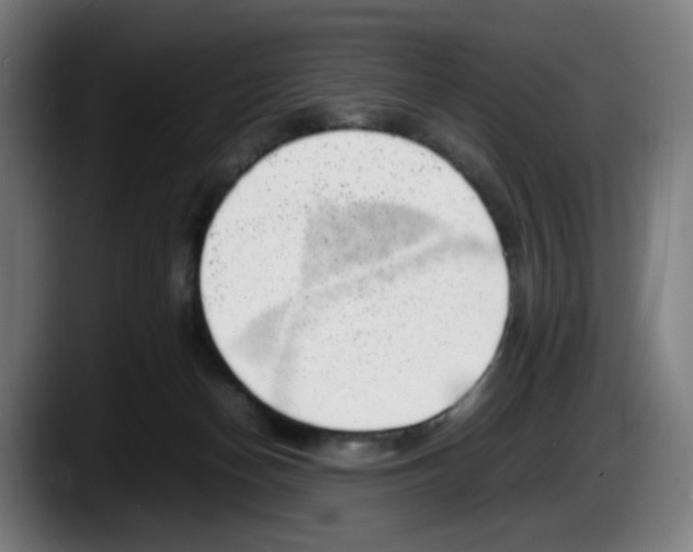 X0000087600174200705251929