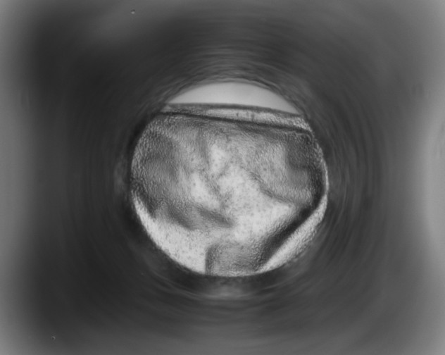 X0000087600175200705251929