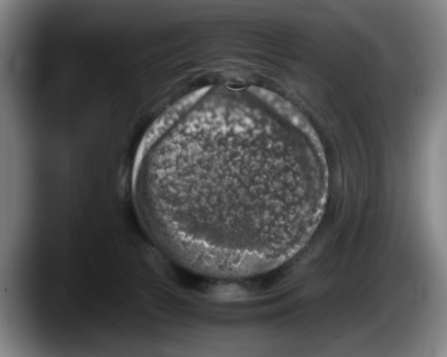 X0000087600177200705251929