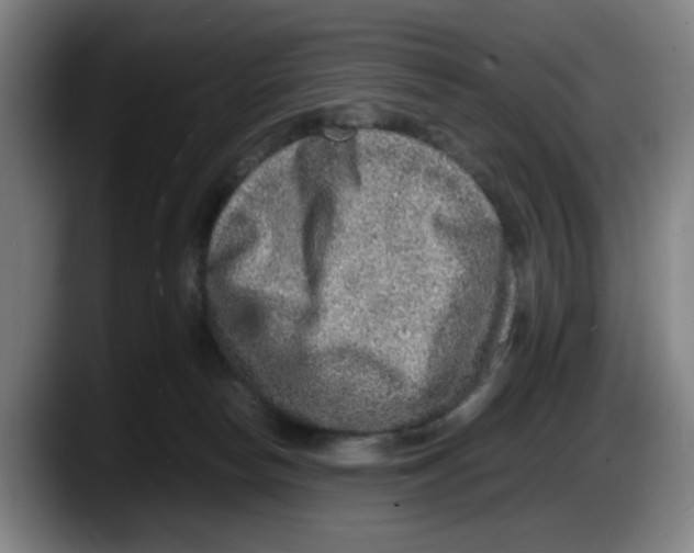 X0000087600178200705251929