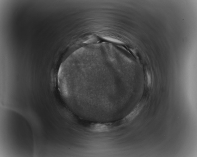 X0000087600180200705251929