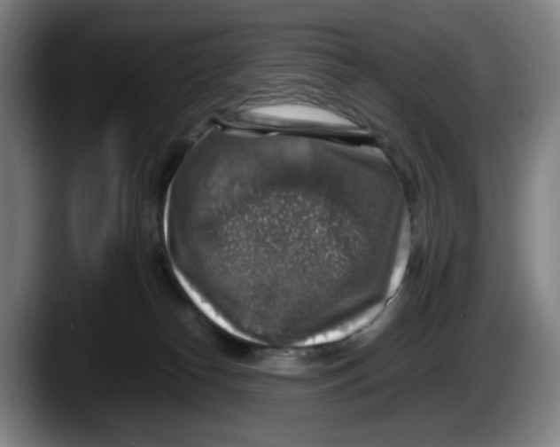 X0000087600182200705251929