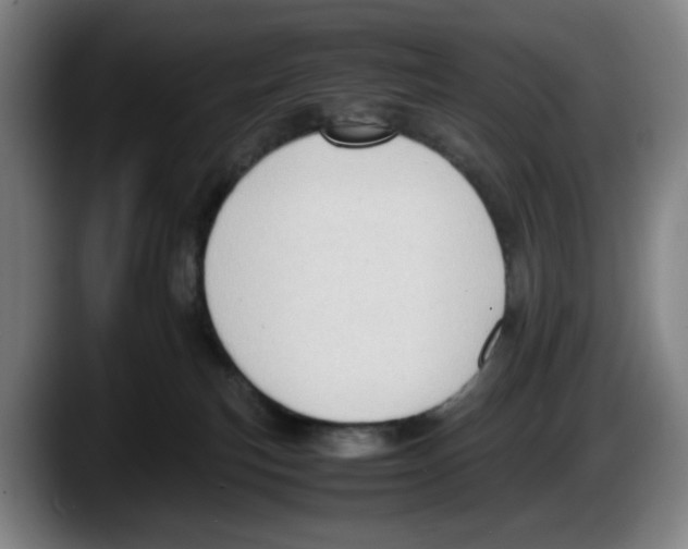 X0000087600183200705251929