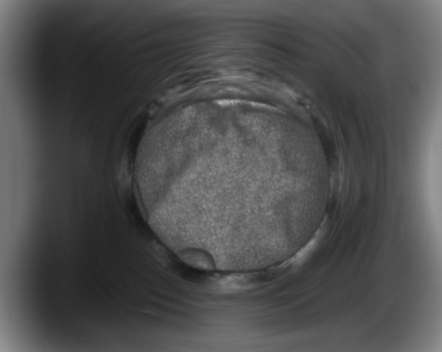 X0000087600186200705251929