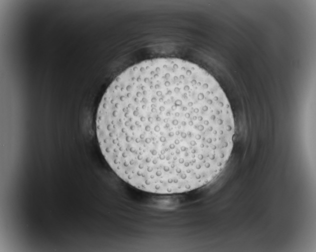 X0000087600187200705251929
