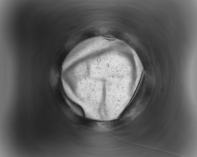 X0000087600188200705251929