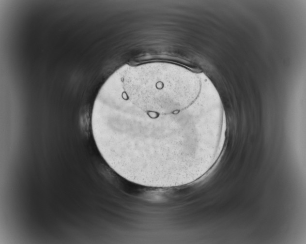 X0000087600190200705251929