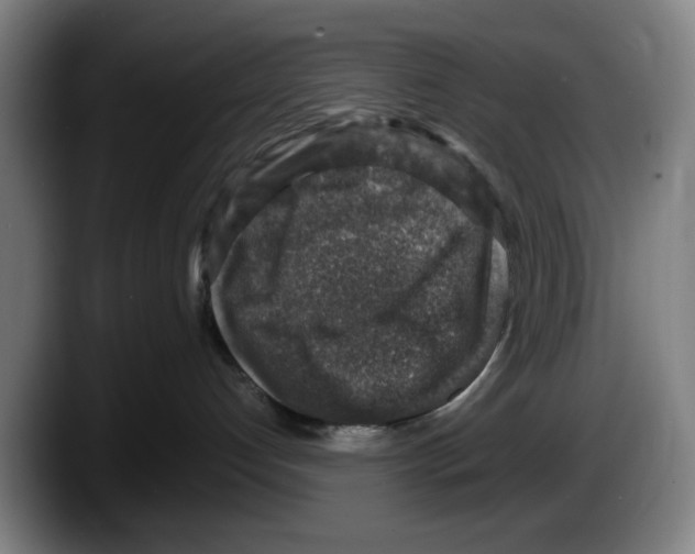 X0000087600192200705251929