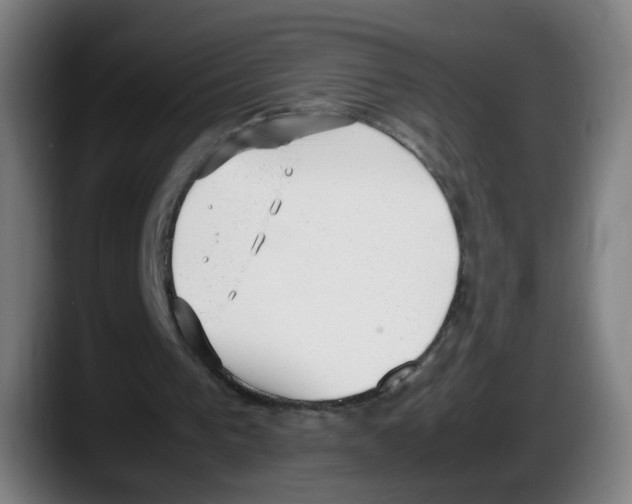 X0000087600193200705251929