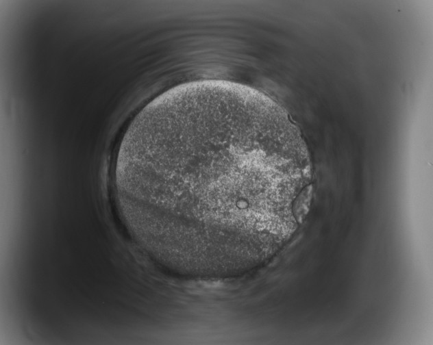 X0000087600194200705251929